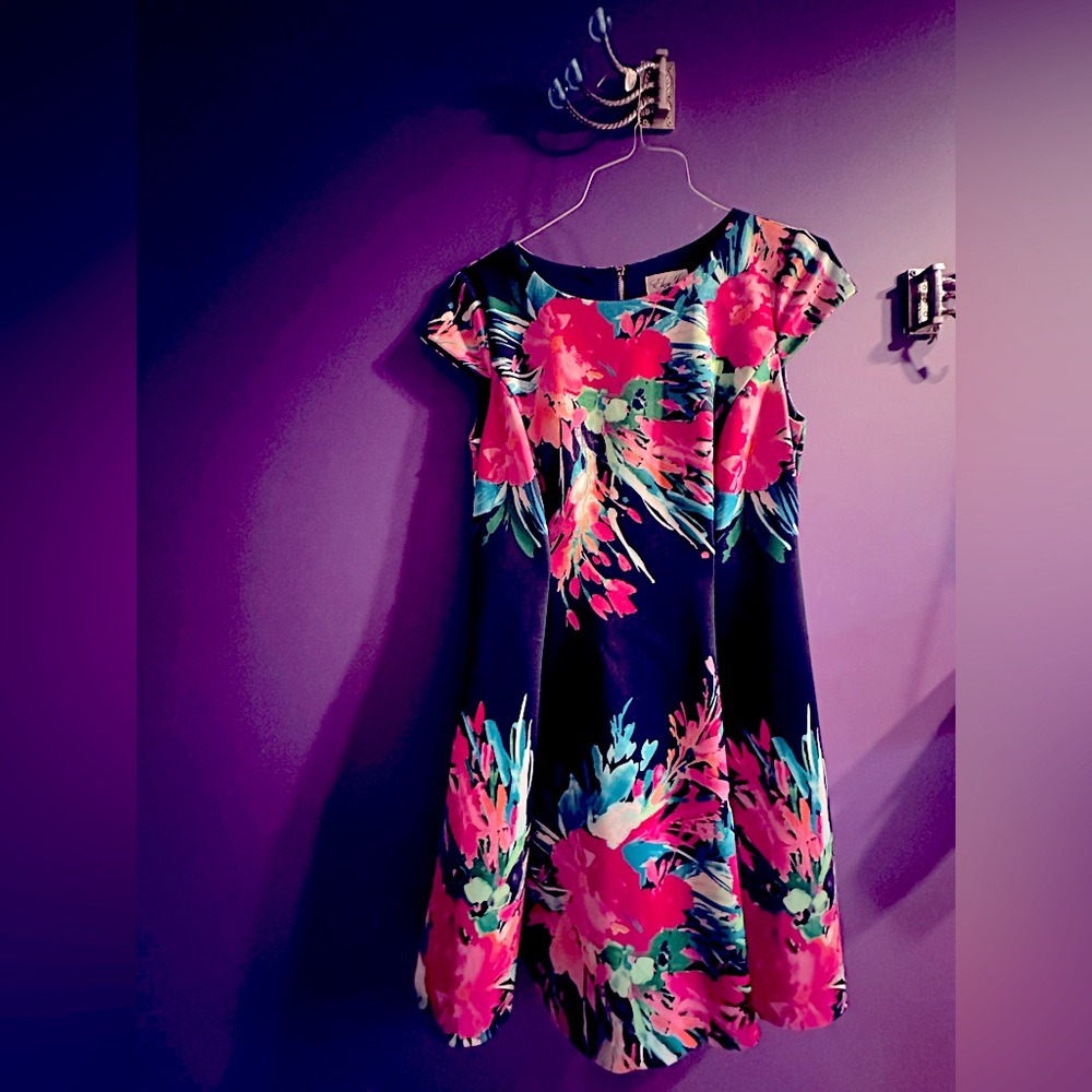 Eliza J Navy/Multi Floral Dress
